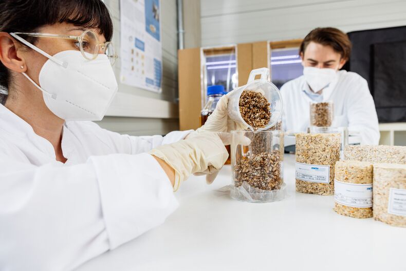 Eine weibliche und eine männliche Person in Laborkitteln sitzen an einem Tisch. Vor ihnen stehen Proben von Pilzmyzel und Holzspänen, verpresst in zylindrischer Form. Im Vordergrund füllt die weibliche Person ein Gemisch dieser Proben in einen Glaszylinder.