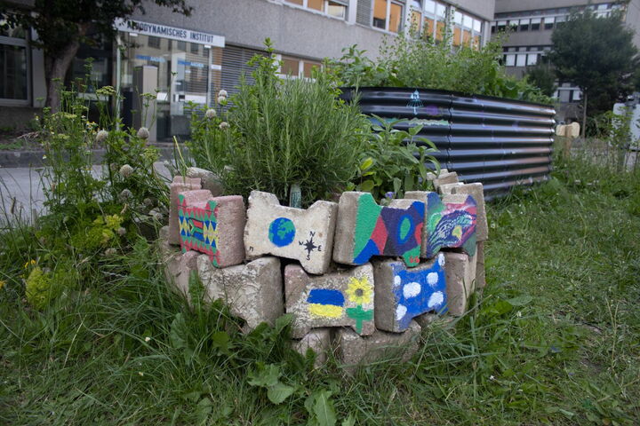 Das Bild zeigt ein Hochbeet aus kreisrund angeordneten Steinen im Campusgarten.