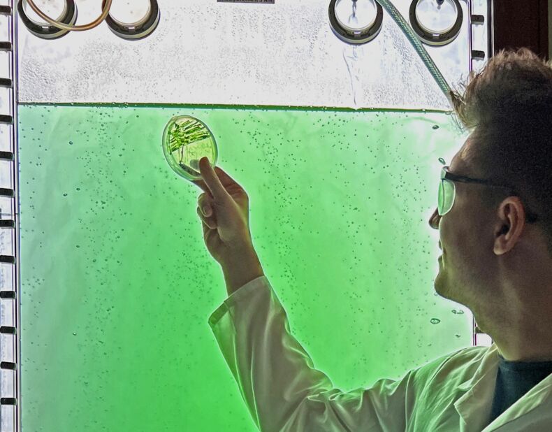Eine Person hält eine Petrischale mit grünem Bewuchs in die Höhe. Im Hintergrund ist eine Glasscheibe mit einer dahinter befindlichen grünen blubbernden Flüssigkeit zu sehen.