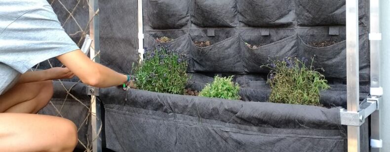 The picture shows a kneeling person planting textile plant bags from the BauGrünKit.