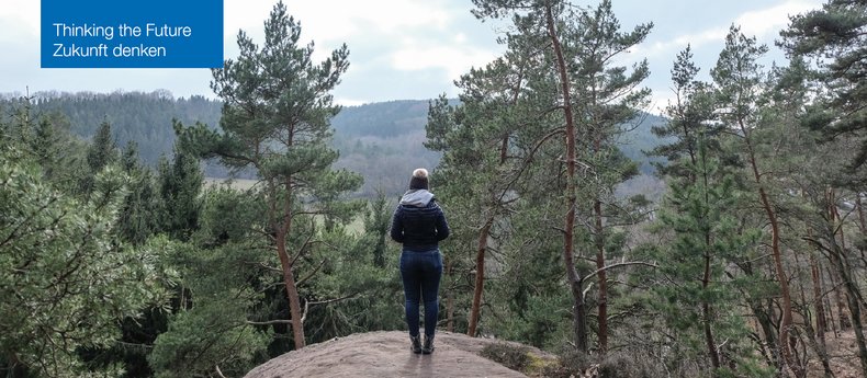 Person auf einem Fels vor einem Wald.